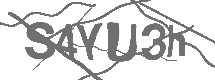 CAPTCHA Image