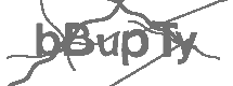 CAPTCHA Image