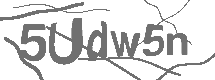 CAPTCHA Image