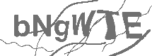 CAPTCHA Image