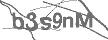 CAPTCHA Image