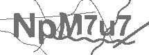 CAPTCHA Image