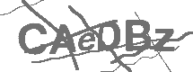 CAPTCHA Image