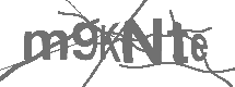 CAPTCHA Image