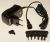 Netadapter Voeding    ,geschikt voor eenM030R 3121700000