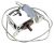 NWPF6K-080 4055088837 thermostaat