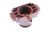 322000901 996530035737 zuiger bruin BG