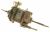 Ac Motoren    ,geschikt voor eenT6DBG82W 4151000000