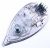 CS-00147499 zool/compleet