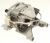 Motoren    ,geschikt voor eenFWF71253WSP 4150000000