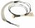 2977904400 C00896357 CABLE