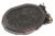 3001-002630 luidspreker 0.7W, 8Ohm, 90dB, 750Hz, 20.1x13.1x
