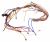 260485317 C00932362 SERVICE CABLE GROUP