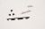 621036000437 aan/uit-knop MILKYWAY-S2 11001025959 (CPH2689) MILKYWAY-S2